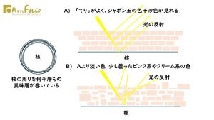 てりについて