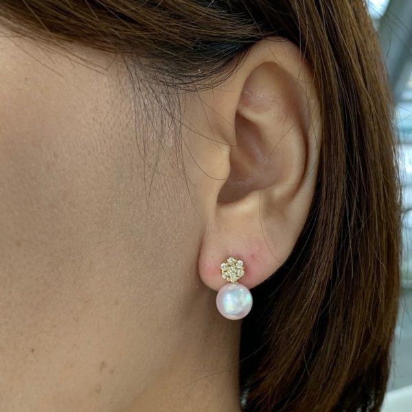 Akoya Pearl Earring (E66) - Image 6