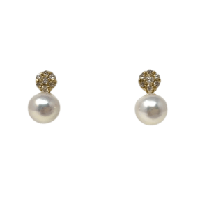 Akoya Pearl EarringE66