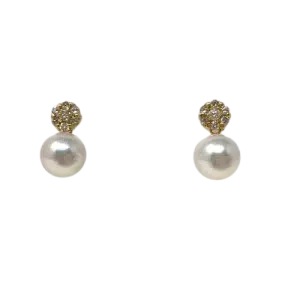 Akoya Pearl EarringE66