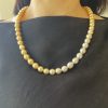 South Sea Pearl Long Strand Necklace (N29) - Image 7