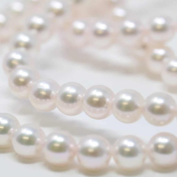 Long Akoya Pearl Necklace