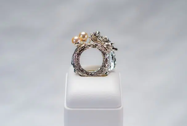 4th Place 82/1669 Votes Jonathan Kwong Singapore Ryujin
