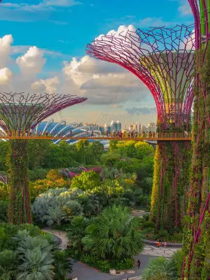 Super Tree Grove Singapore - Coleen Rivas