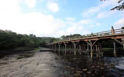 Unlocking the Wonders of Ise Jingu