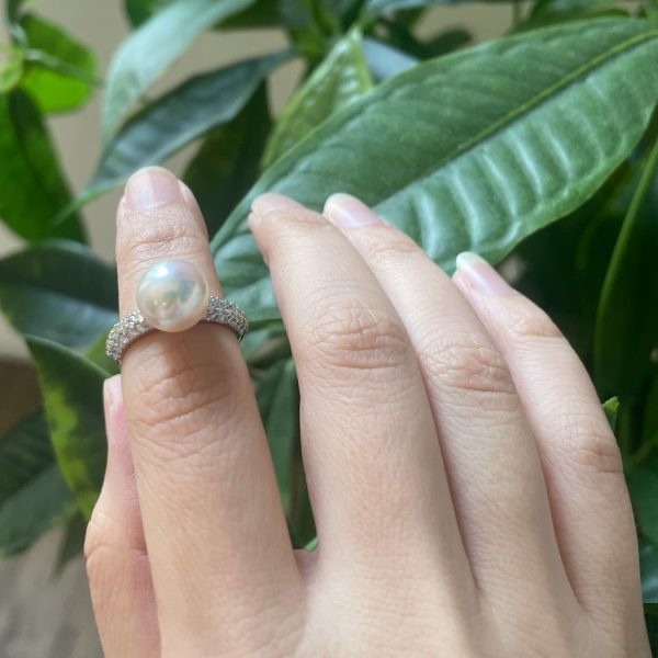 Akoya Pearl Diamond Pave Ring(R60) - Image 2