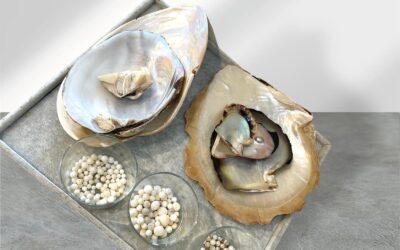 Discover The Magic Of Pearls: A Workshop Experience