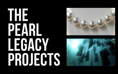 The Pearl Legacy Project – Securing the Future of Pearl Farming