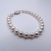 Iconic  Akoya Pearl Bracelet (BL63) - Image 2