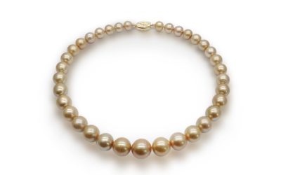 Golden South Sea Bold Necklace (N140)