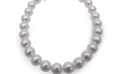 Iconic  Akoya Pearl Bracelet (BL63)
