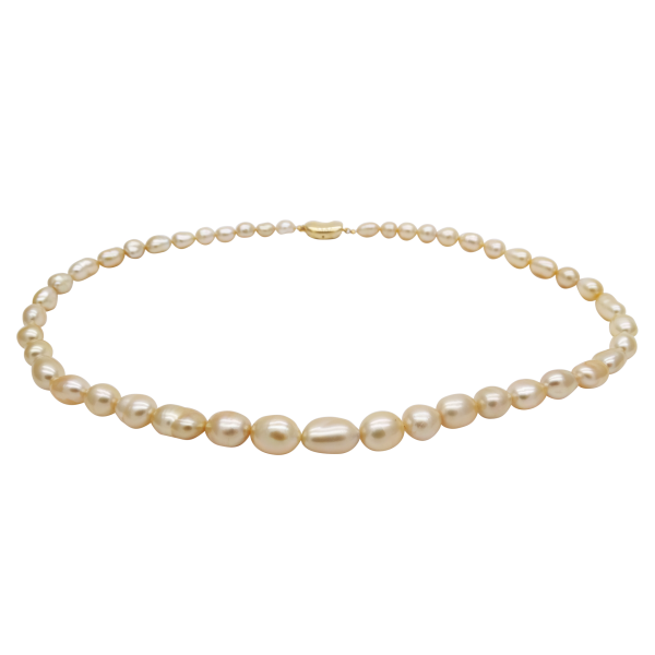 Southsea Gold Keshi Pearl Necklace N141