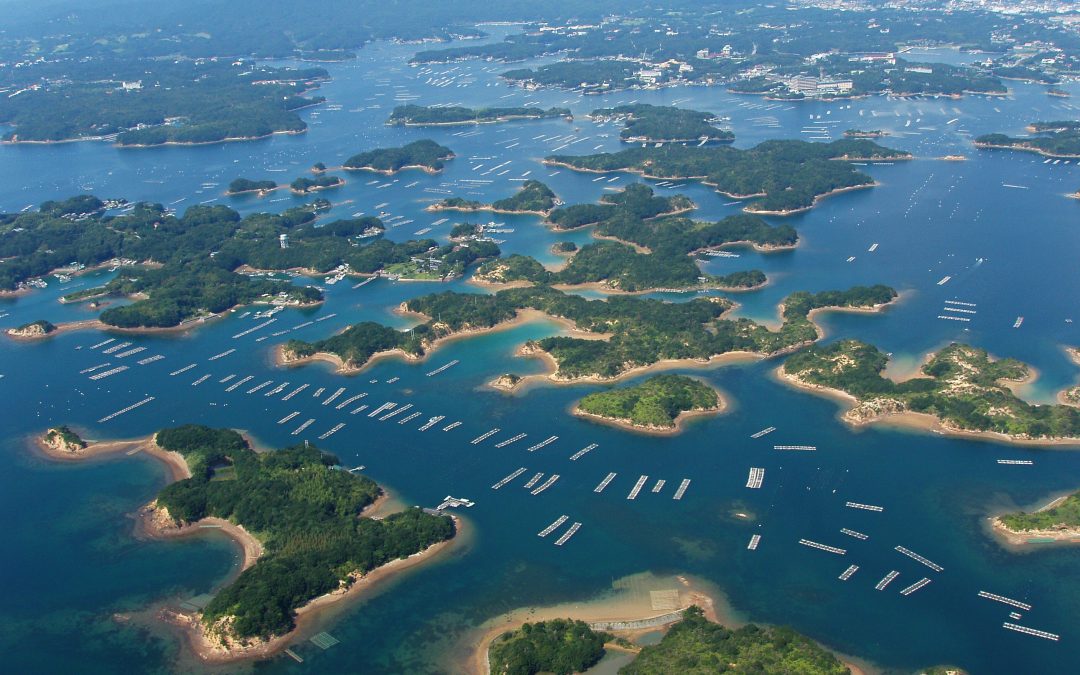History of Pearl Farming in Ise Shima