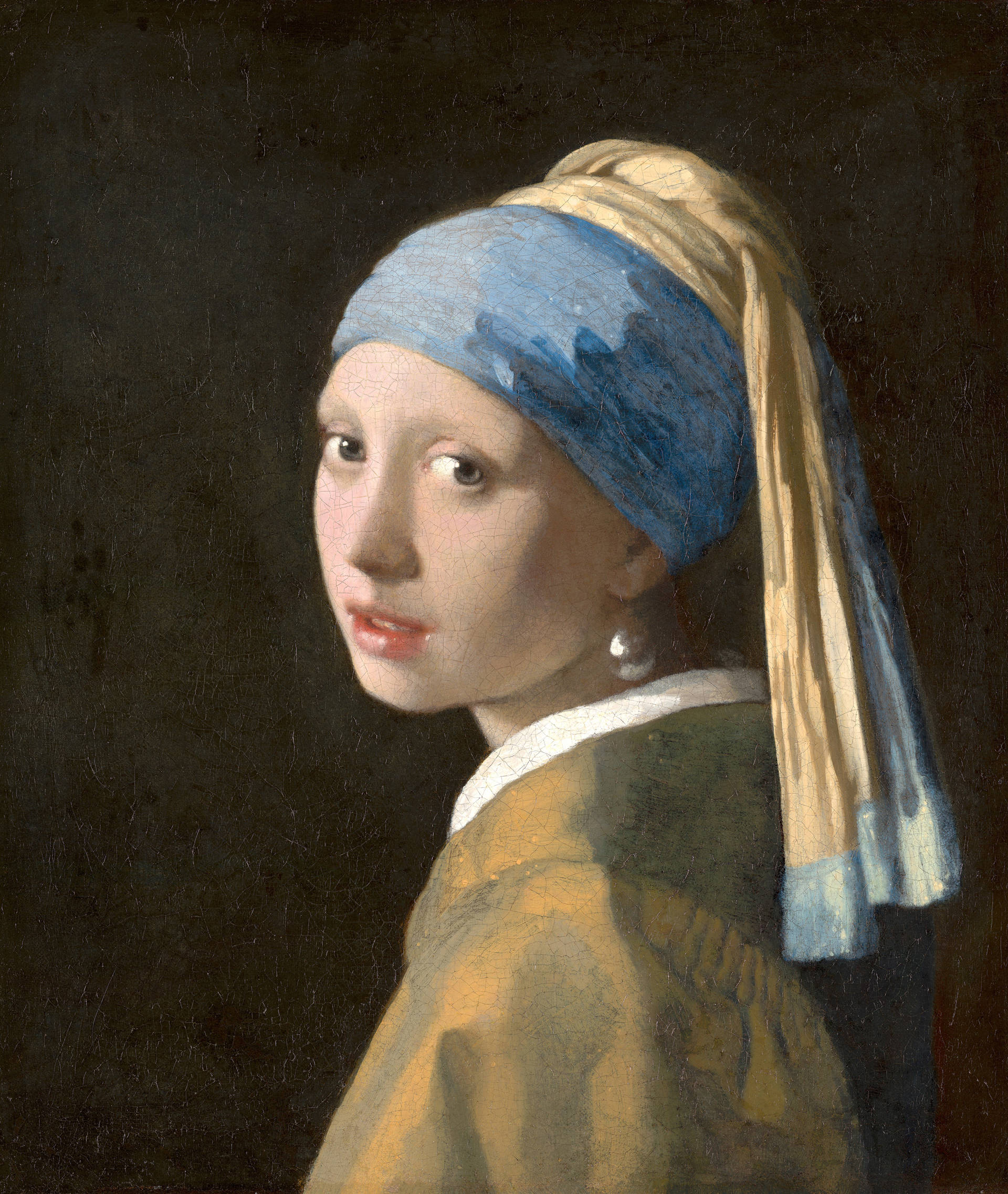 Johannes VermeerGirl with a Pearl Earring