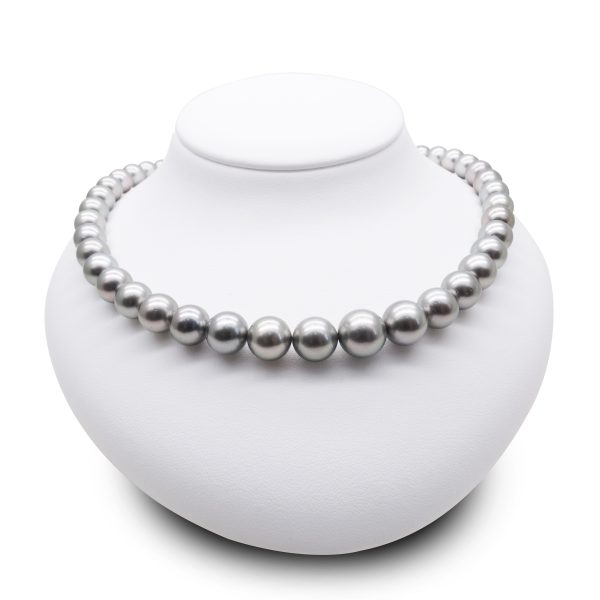 Grey South Sea Pearl Strand Necklace - N146