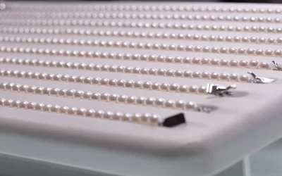 Pearl Falco About Pearls 6 Luxury Akoya Pearl Jewelry in Singapore 2025