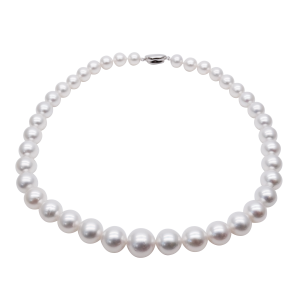 Pearl FALCO Collections 6 White South Sea Necklace Classic - N151