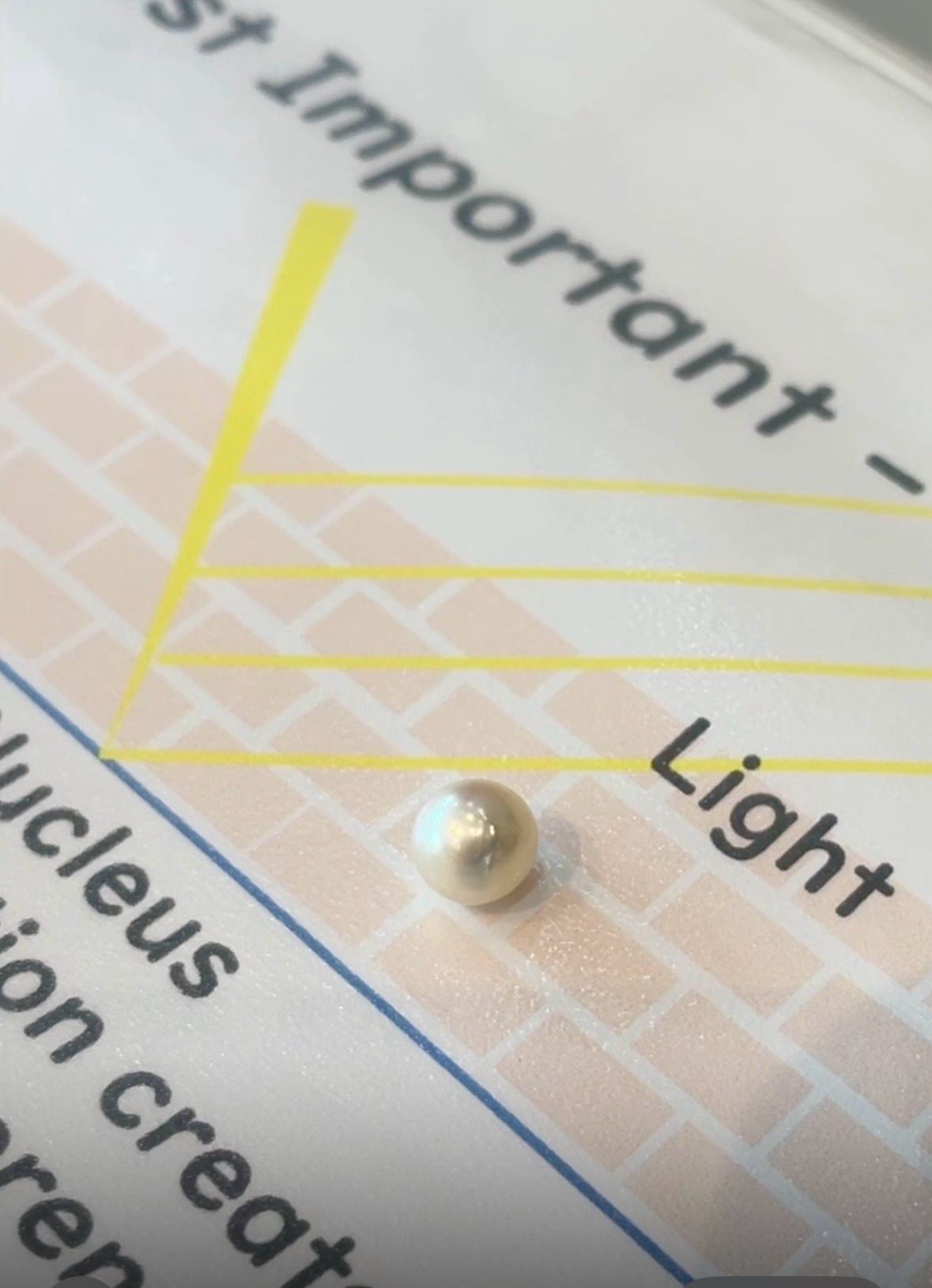 WhatsApp Image 2026 03 04 at 12.46.20 PM