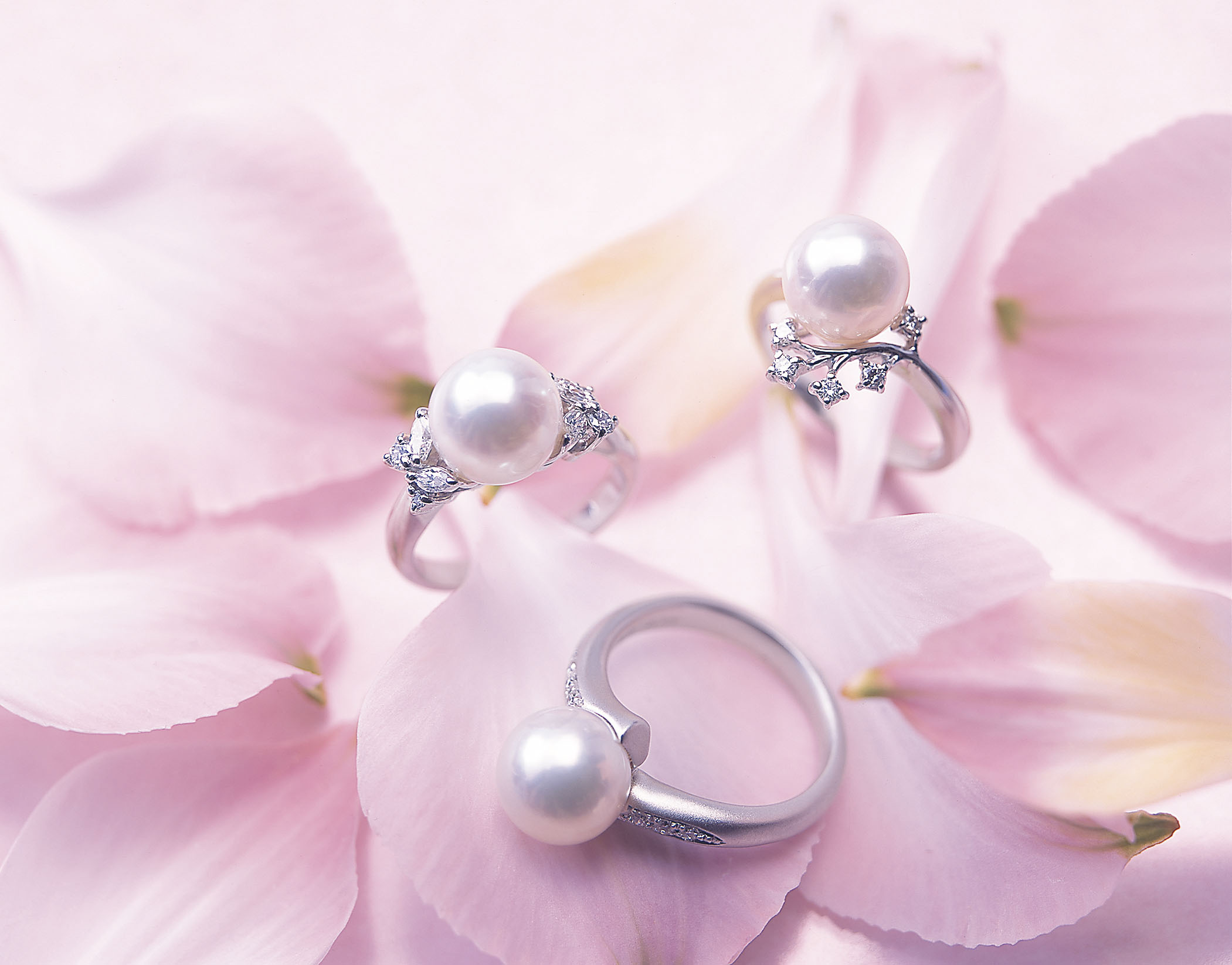 How to Choose Akoya Pearl Rings | Luxury Guide 2026 1 Akoya Pearl Ring