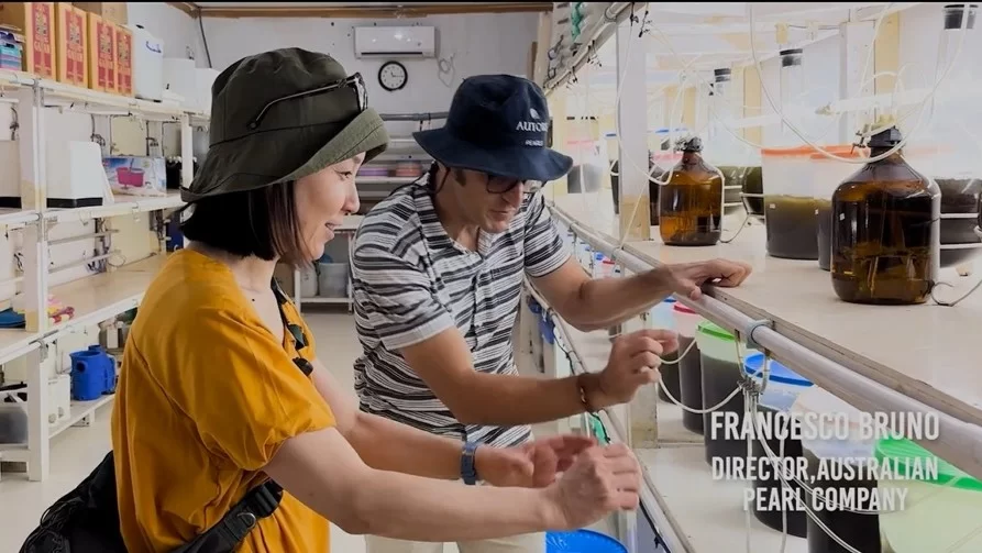 cesco southsea
